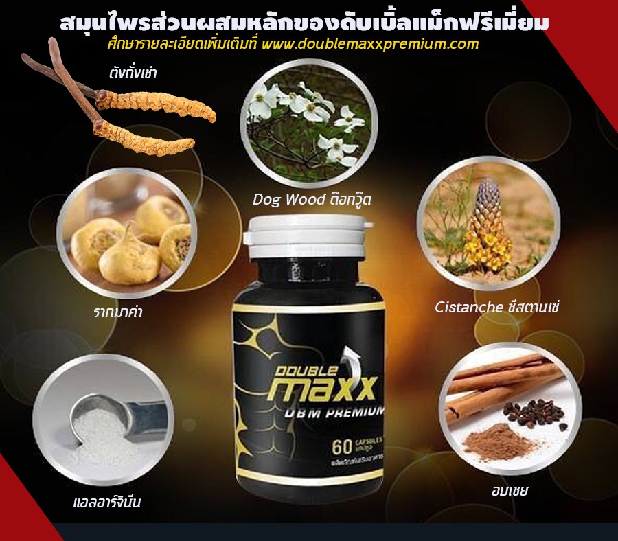 ส่วนผสมสำคญของดับเบิ้ลแม็ก