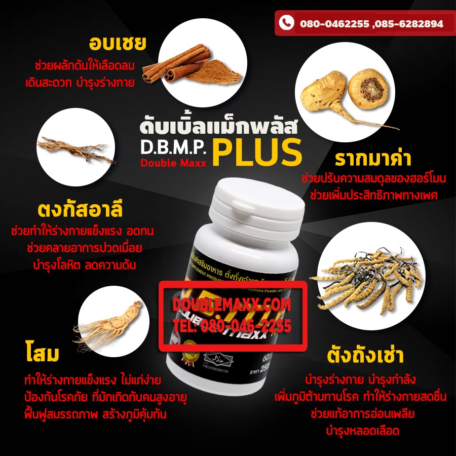 ส่วนประกอบสำคัญของดับเบิ้ลแม็ก