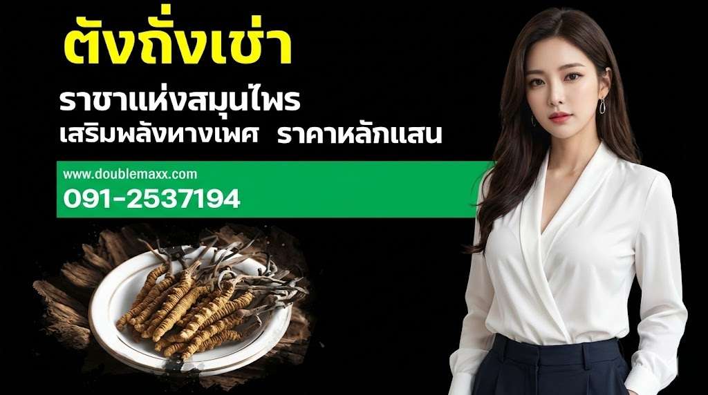 ตังถั่งเช่า ดับเบิ้ลแม็ก Doublemaxx